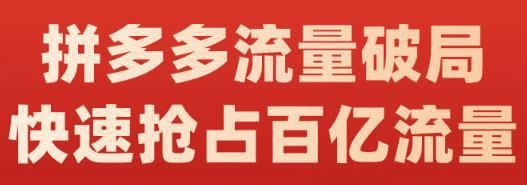 图片[1]-拼多多流量破局训练营：如何打黑标，爆款的思路，拼多多流量框架，快速抢占百亿流量-人生海web技术分享