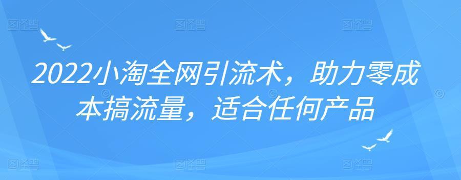 图片[1]-2022年小淘全网引流术，助力零成本搞流量，适合任何产品-人生海web技术分享