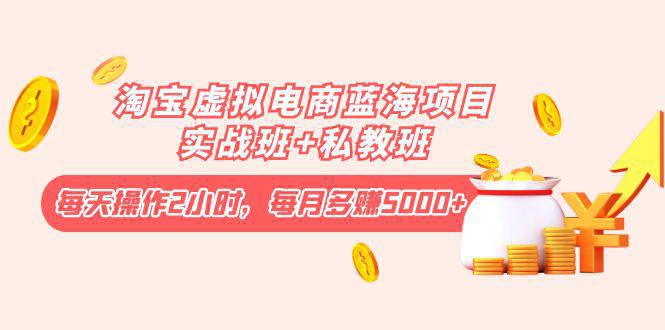 淘宝虚拟电商蓝海项目实战班+私教班：每天操作2小时，每月多赚5000+