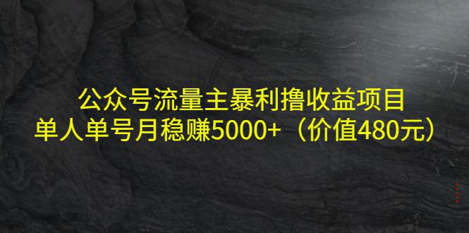 公众号流量主暴利撸收益项目，单人单号月稳赚5000+（价值480元）