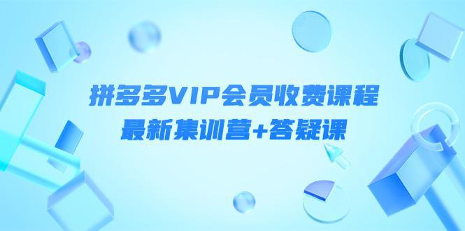 某社群·拼多多VIP会员收费课程，最新集训营+答疑课-价值3299元