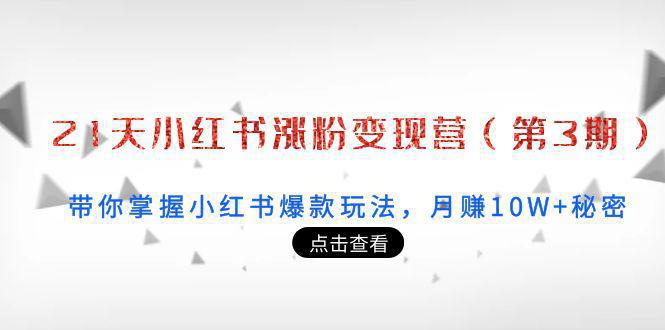 21天小红书涨粉变现营（第3期）：带你掌握小红书爆款玩法，月赚10W+秘密