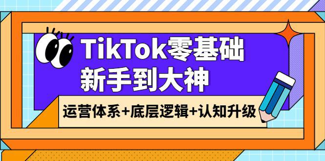 图片[1]-TikTok零基础新手到大神：运营体系+底层逻辑+认知升级（9节系列课）-人生海web技术分享