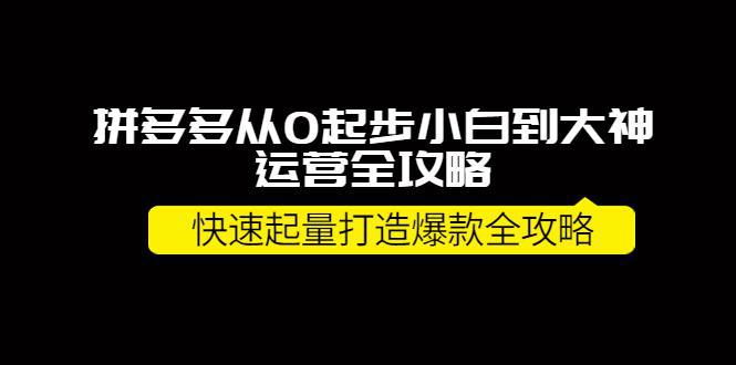 拼多多从0起步小白到大神运营全攻略，快速起量打造10W+爆款全攻略！