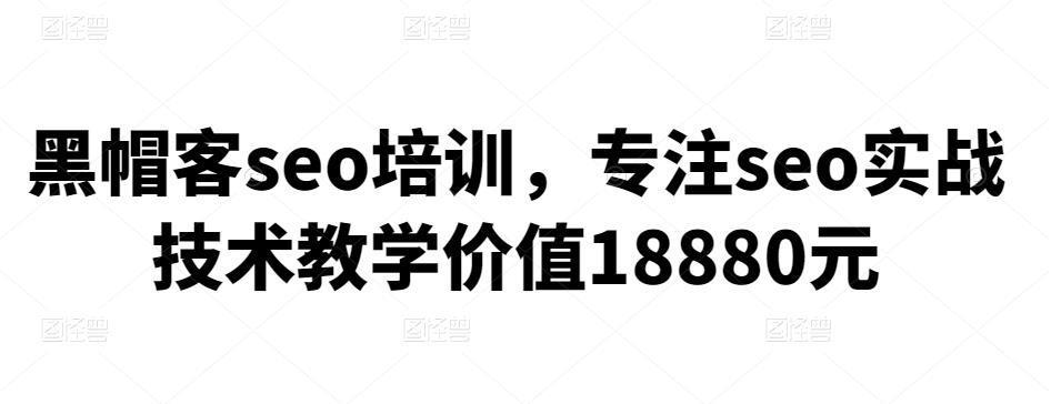 图片[1]-黑帽客seo培训，专注seo实战技术教学价值18880元-人生海web技术分享