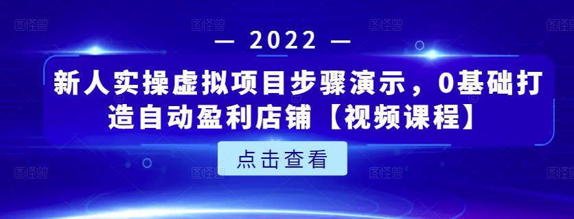 图片[1]-新人实操虚拟项目步骤演示，0基础打造自动盈利店铺【视频课程】-人生海web技术分享