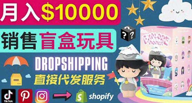 图片[1]-Dropshipping+Shopify推广玩具盲盒赚钱：每单利润率30%,月赚1万美元以上-人生海web技术分享