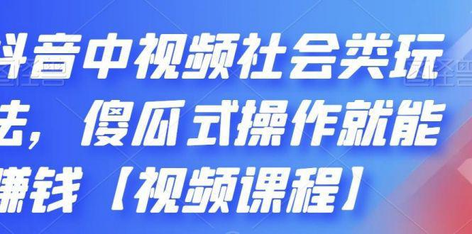 图片[1]-抖音中视频社会类玩法，傻瓜式操作就能赚钱【视频课程】-人生海web技术分享