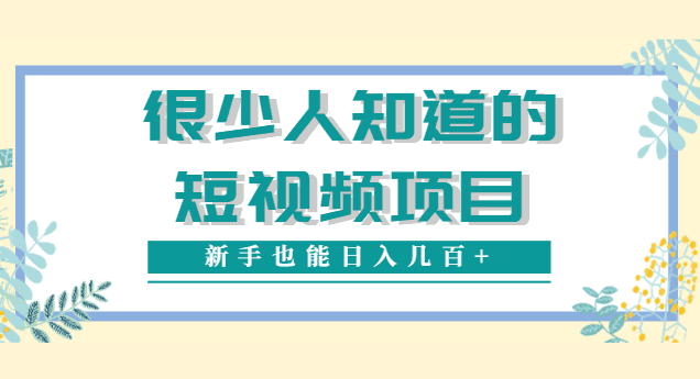 图片[1]-很少人知道的视频赚钱项目，新手能操作也能轻松日入几百+【视频教程】-人生海web技术分享