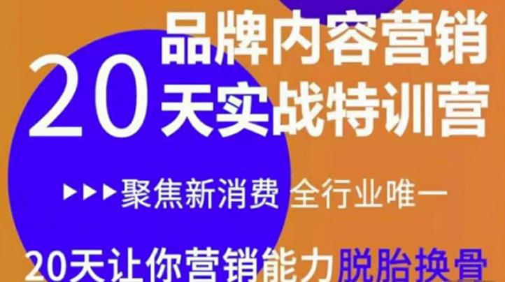 图片[1]-《内容营销实操特训营》20天让你营销能力脱胎换骨-人生海web技术分享