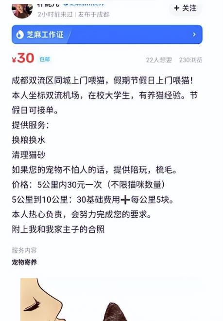 同城副业，日赚800块，有点累但是很赚钱！