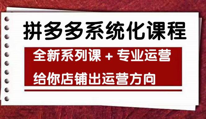 图片[1]-车神陪跑，拼多多系统化课程，全新系列课+专业运营给你店铺出运营方向-阿灿说钱