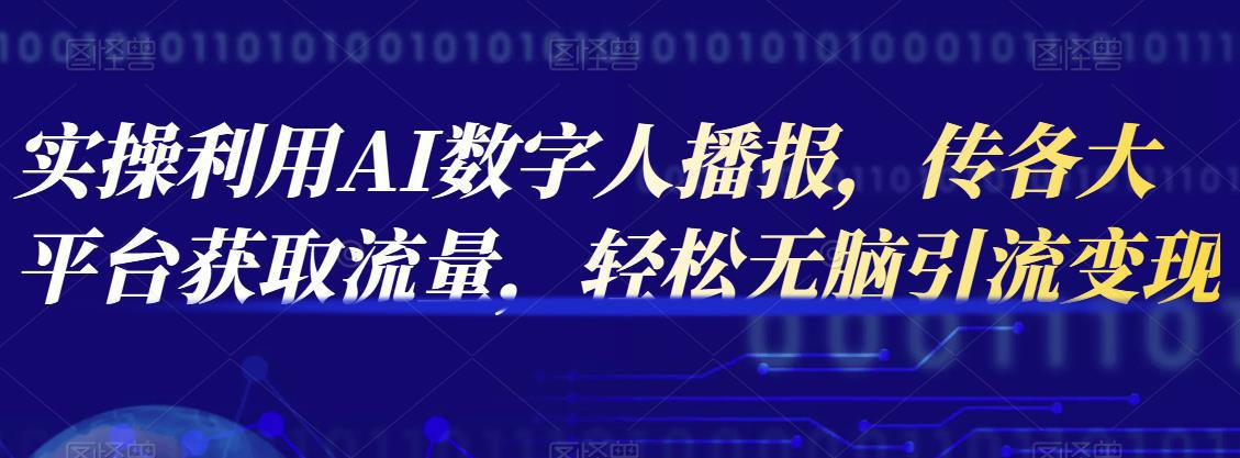 图片[1]-实操利用AI数字人播报，传各大平台获取流量，轻松无脑引流变现-人生海web技术分享