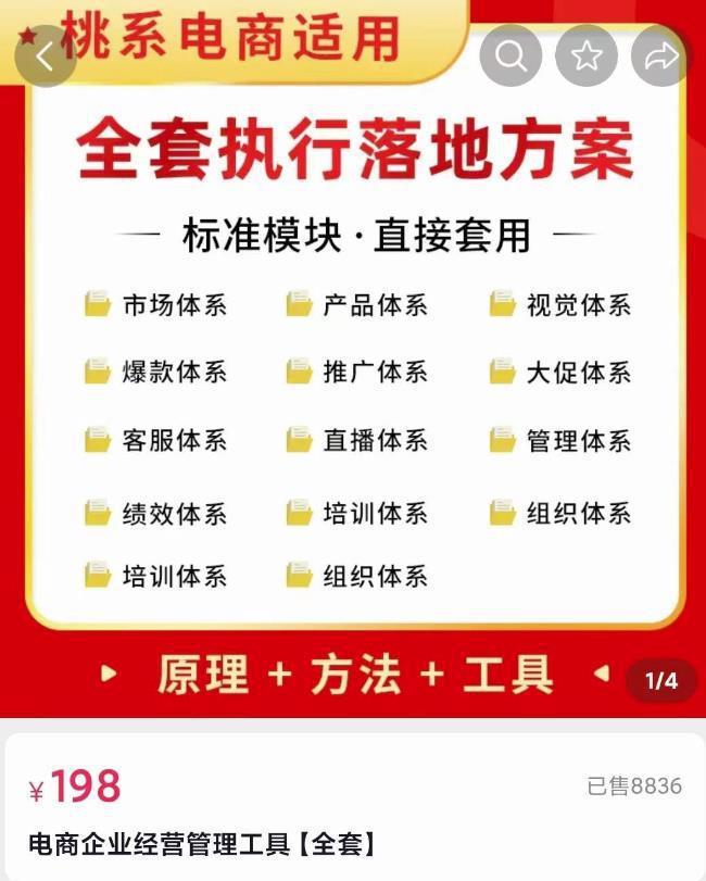 图片[1]-外面卖198·电商企业经营管理工具：全套执行落地方案标准模块·直接套用-人生海web技术分享