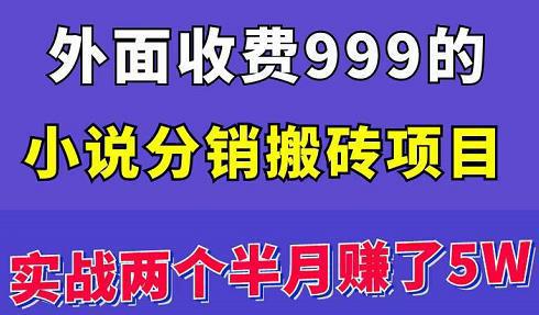 图片[1]-外面收费999的小说分销搬砖项目：实战两个半月赚了5W块，操作简单-人生海web技术分享