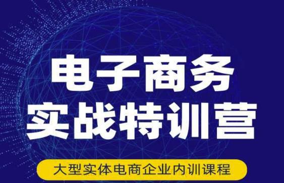 图片[1]-电子商务实战特训营，全方位带你入门电商，308种方式玩转电商-人生海web技术分享