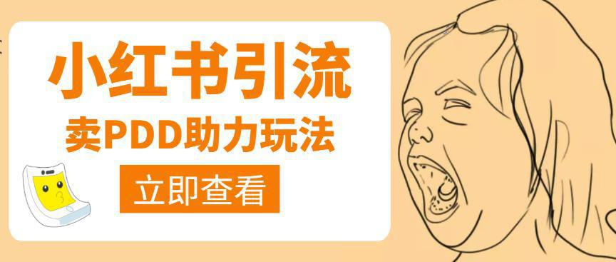 图片[1]-利用小红书卖拼多多助力，日赚100+，顺便还能引个流【视频课程】-阿灿说钱
