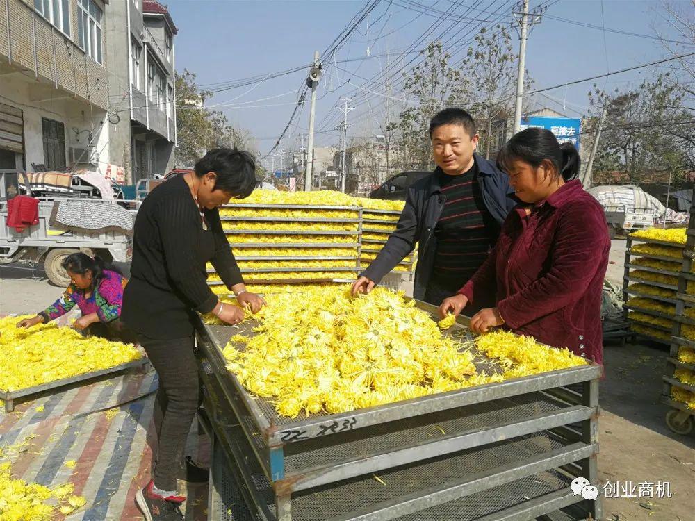 图片[1]-小伙辞工回家创业，干不起眼的生意，如今年赚30万-阿灿说钱