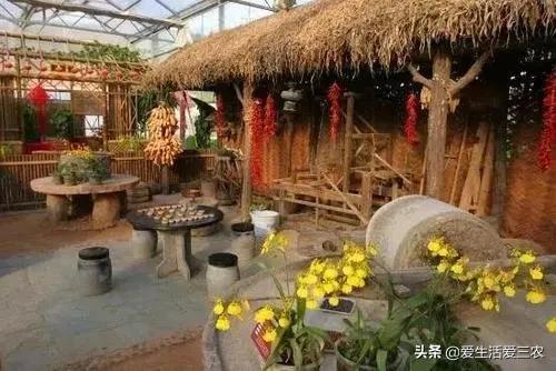 图片[6]-40个小本生意成功案例 东北农村创业新点子-人生海web技术分享