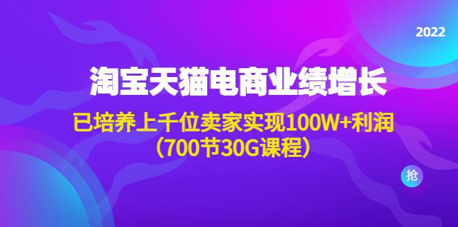 图片[1]-淘系天猫电商业绩增长：已培养上千位卖家实现100W+利润（700节30G课程）-人生海web技术分享