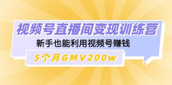 图片[1]-视频号直播间变现训练营：新手也能利用视频号赚钱-人生海web技术分享