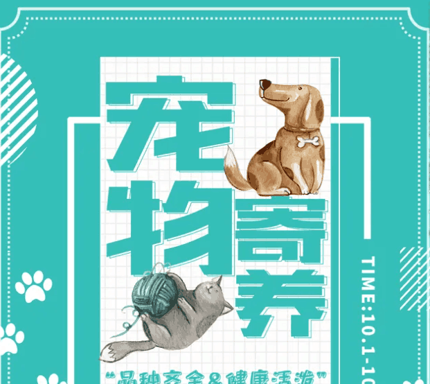 图片[1]-副业“新宠物”， 线上寄养宠物平台寄养宠物项目实操解析-瑷珂憬転