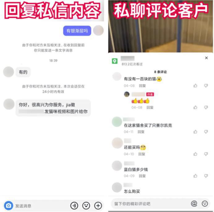 图片[3]-抖音快手卖猫狗，0门槛，月销30万！-人生海web技术分享