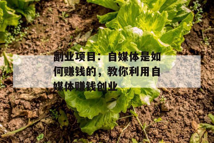 副业项目：自媒体是如何赚钱的，教你利用自媒体赚钱创业 第1张