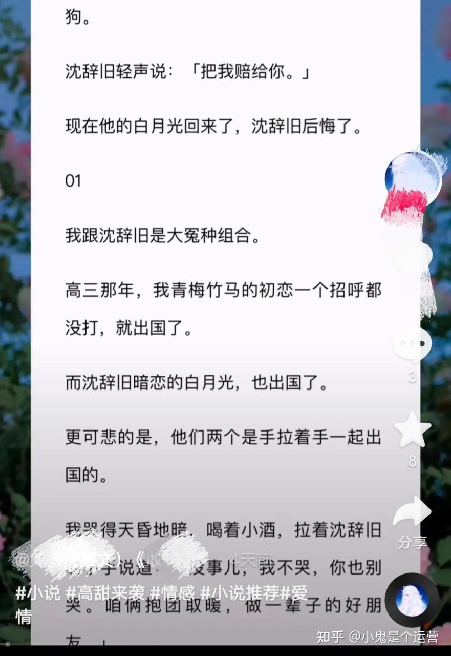 065220ip2o4gwkoo177x7i - 简单粗暴的赚钱项目“小说推文”你听说了吗？