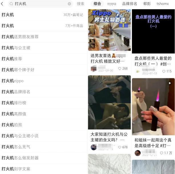 图片[2]-小红书电商无货源项目思路，从开店到选品的一些玩法-人生海web技术分享