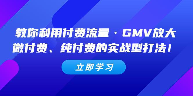 图片[1]-教你利用付费流量·GMV放大，微付费、纯付费的实战型打法！-人生海web技术分享