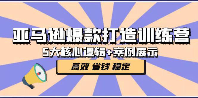 图片[1]-亚马逊爆款打造训练营：5大核心逻辑+案例展示 打造爆款链接 高效 省钱 稳定-人生海web技术分享