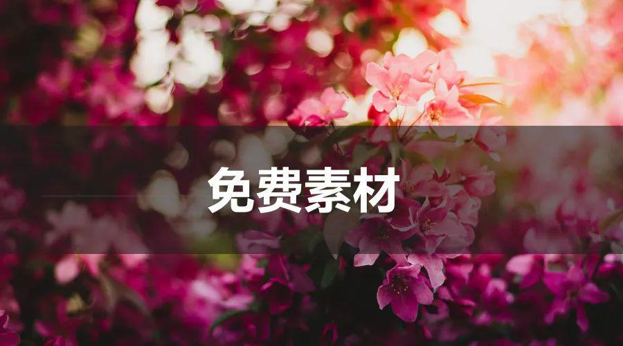 图片[1]-绝对短视频创作者的素材天堂，短视频免费素材5个网站推荐-瑷珂憬転