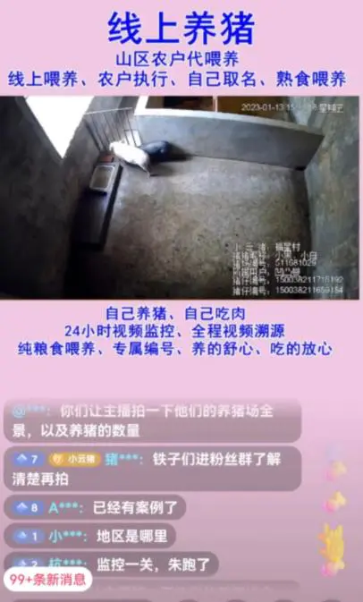 图片[1]-三农题材的博主云养猪就是可尝试操作的项目-人生海web技术分享