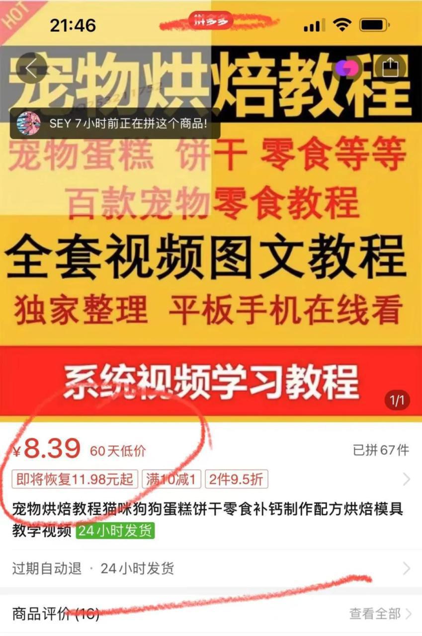 图片[3]-宠物烘焙师：轻松开启宠物店赚钱攻略，成本大揭秘-阿灿说钱