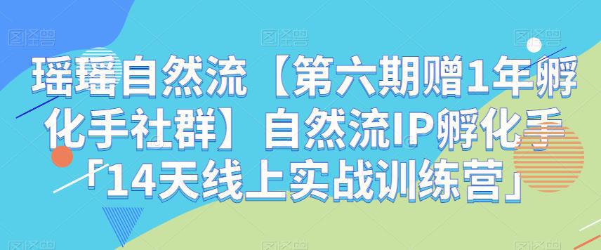 瑶瑶自然流【第六期赠1年孵化手社群】自然流IP孵化手「14天线上实战训练营」