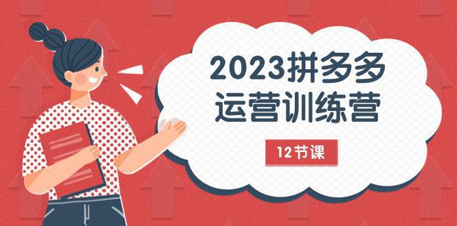 图片[1]-2023年拼多多运营攻略：解锁流量秘密，全方位免费+付费流量实战解析（12节课）-阿灿说钱