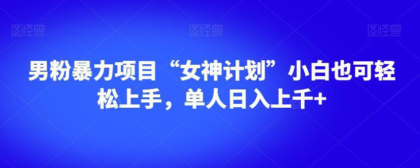 图片[1]-男粉暴利项目“女神计划”小白也可轻松上手，单人日入上千+【揭秘】-阿灿说钱