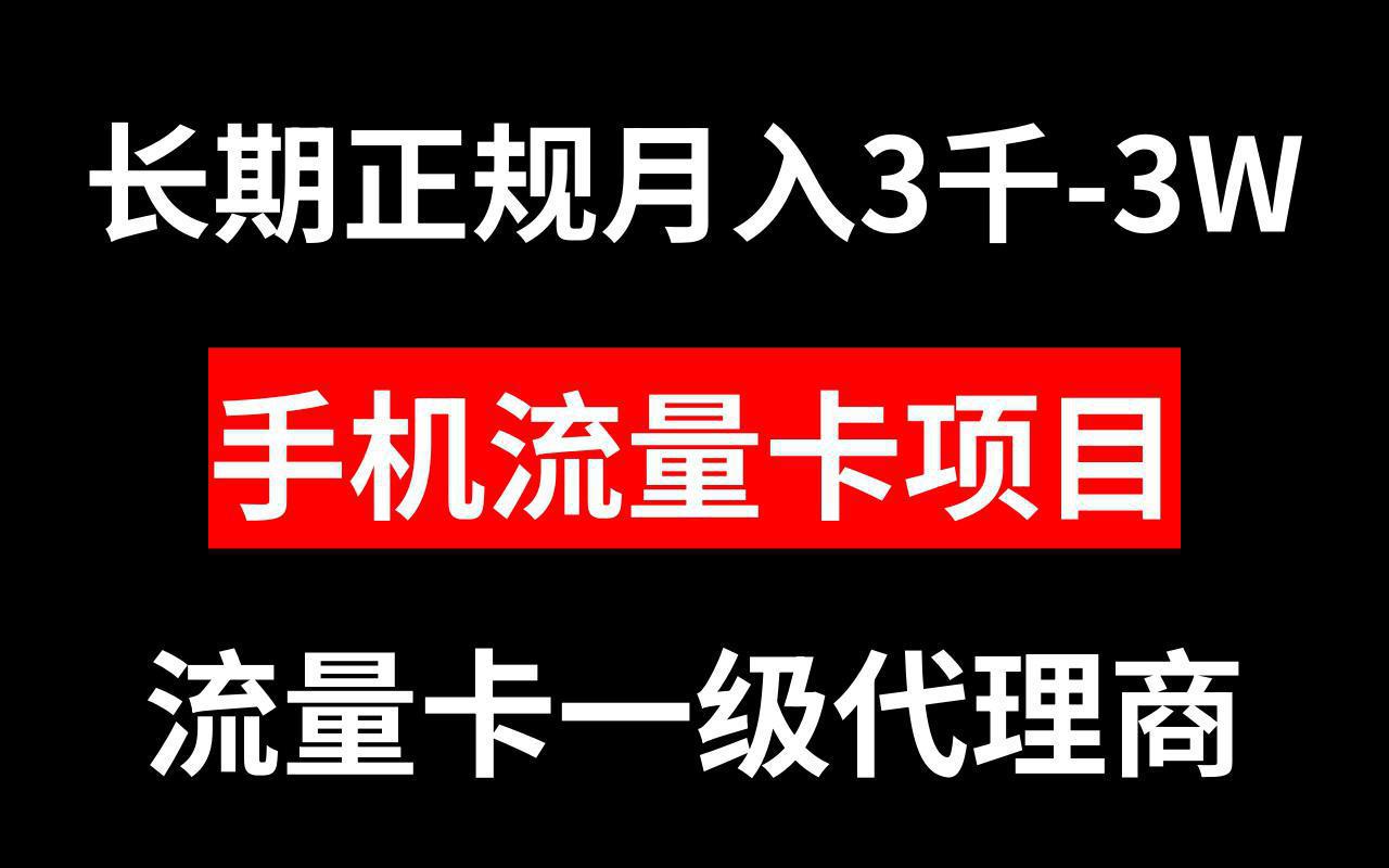 图片[1]-手机流量卡代理月入3000-3W长期正规项目-阿灿说钱