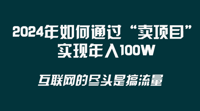 图片[1]-2024年如何通过“卖项目”实现年入100W-阿灿说钱