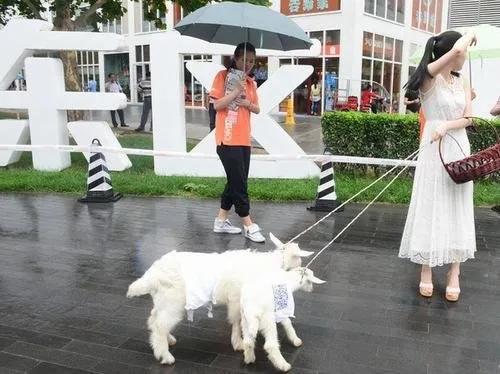 怎样能每天赚500元（普通人做什么可以日赚500）