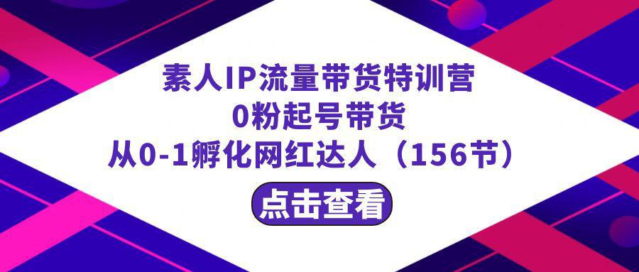 图片[1]-素人IP流量带货特训课程：零粉起号带货 从0-1孵化网红达人（156节）-阿灿说钱