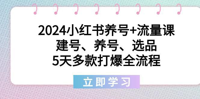 图片[1]-2024小红书养号+流量课：建号、养号、选品，5天多款打爆全流程-阿灿说钱