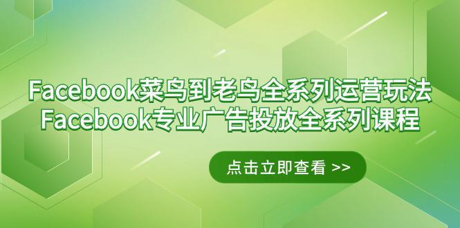 图片[1]-Facebook-菜鸟到老鸟全系列运营玩法+Facebook-专业广告投放全系列课程-阿灿说钱