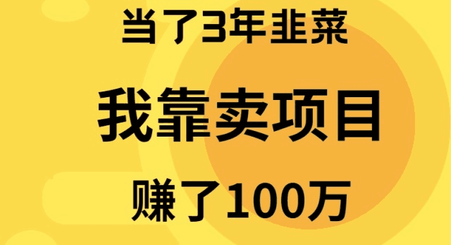 图片[1]-我当了3年韭菜，但是靠卖项目赚了100万-阿灿说钱