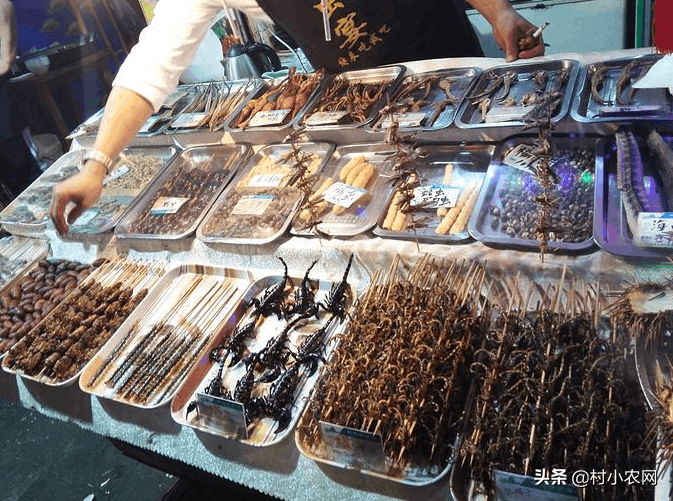 图片[11]-农村养啥销路好又赚钱？这6个养殖项目，想农村创业的可以试试-人生海web技术分享