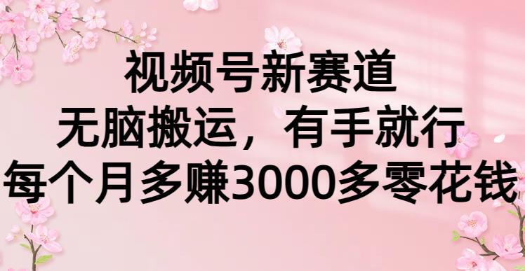 图片[1]-视频号新赛道，无脑搬运，有手就行，每个月多赚3000多零花钱-阿灿说钱