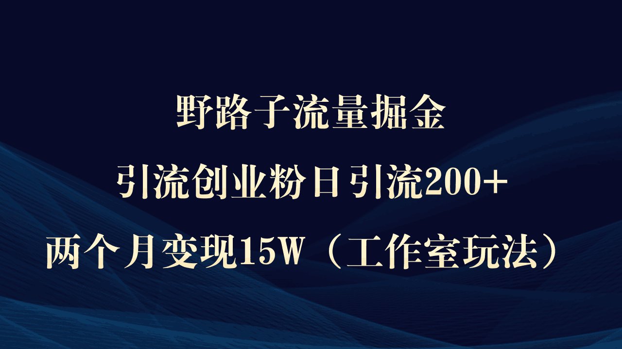 图片[1]-野路子流量掘金，引流创业粉日引流200+，两个月变现15W（工作室玩法））-阿灿说钱