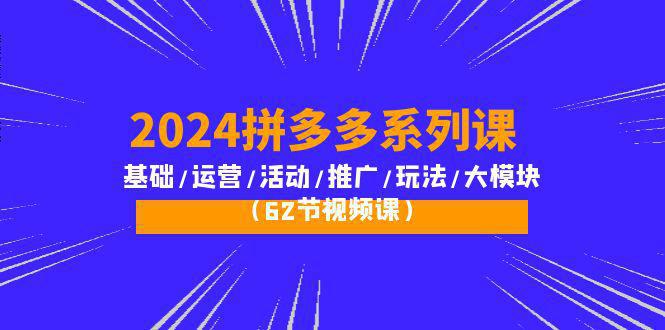 图片[1]-2024拼多多系列运营课：基础/活动/推广/玩法/大模块（62节视频课）-阿灿说钱