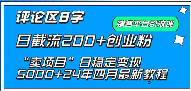 图片[1]-抖音评论区8字日截流创业粉， “卖项目”日稳定变现5000+【揭秘】-阿灿说钱